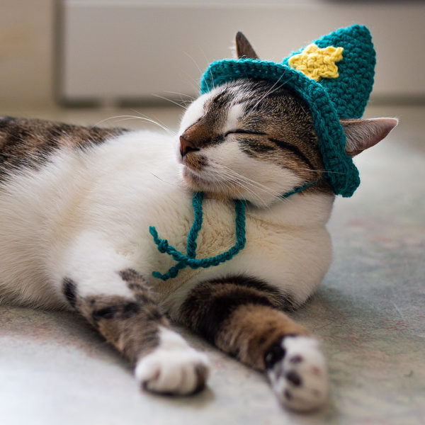 Petit chat heureux qui porte un chapeau de magicien en crochet, imaginé et confectionné à la main par les Mignonstres, une marque le Rat et l’Ours.