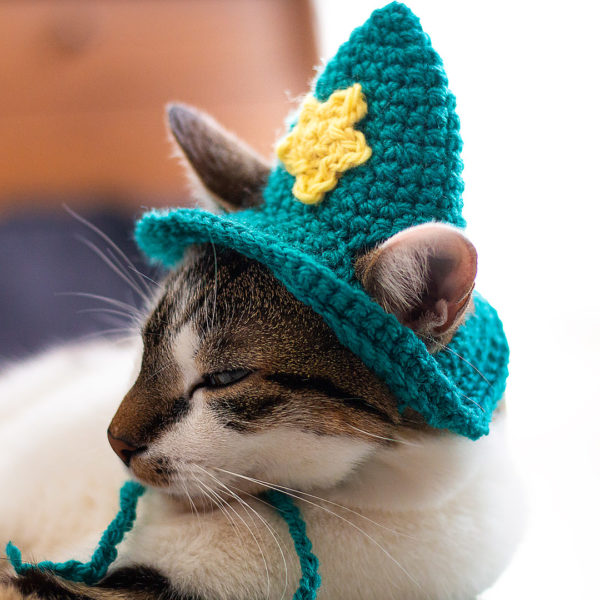 Petit chat heureux qui porte un chapeau de magicien en crochet, imaginé et confectionné à la main par les Mignonstres, une marque le Rat et l’Ours.